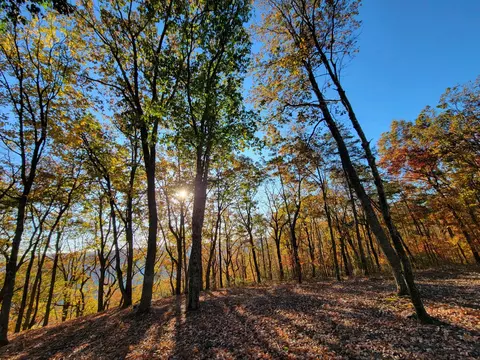 2299 Eagle Rock Rd, Monteagle, TN 37356 photo 6