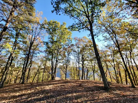 2299 Eagle Rock Rd, Monteagle, TN 37356 photo 2
