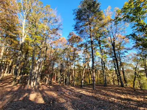 2299 Eagle Rock Rd, Monteagle, TN 37356 photo 4