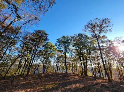 2299 Eagle Rock Rd, Monteagle, TN 37356 photo 7