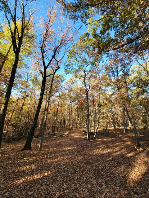 2299 Eagle Rock Rd, Monteagle, TN 37356 photo 20