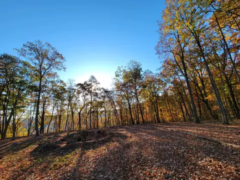 2299 Eagle Rock Rd, Monteagle, TN 37356 photo 11