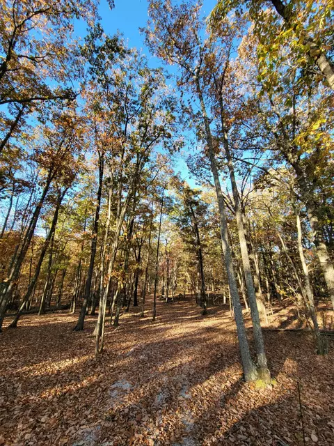 2299 Eagle Rock Rd, Monteagle, TN 37356 photo 21