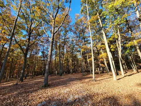 2299 Eagle Rock Rd, Monteagle, TN 37356 photo 8