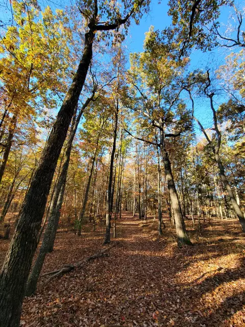2299 Eagle Rock Rd, Monteagle, TN 37356 photo 16