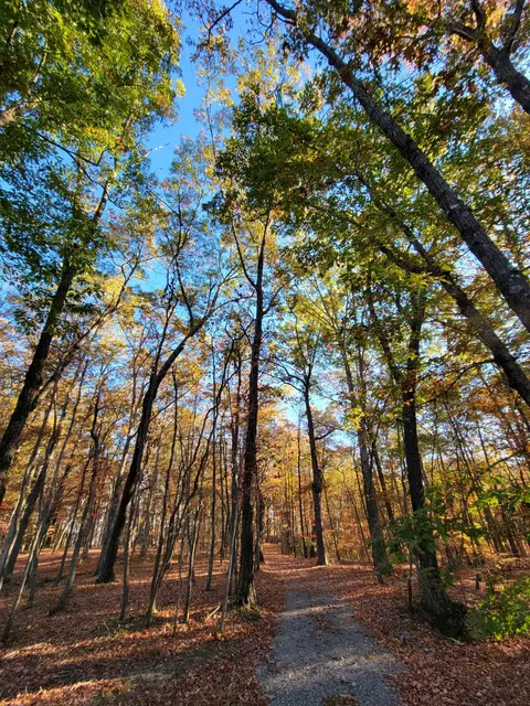 2299 Eagle Rock Rd, Monteagle, TN 37356 photo 18