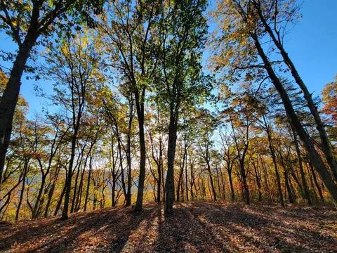 2299 Eagle Rock Rd, Monteagle, TN 37356 photo 3