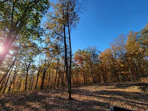 2299 Eagle Rock Rd, Monteagle, TN 37356 photo 10
