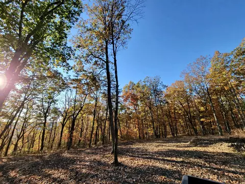 2299 Eagle Rock Rd, Monteagle, TN 37356 photo 9