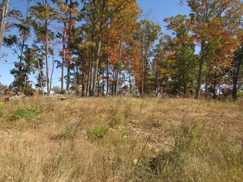0 Old Hwy 52 West Loop, Celina, TN 38551