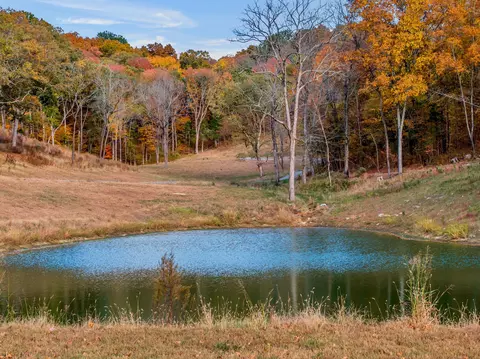 0 Burke Hollow Road Tract #4, Nolensville, TN 37135