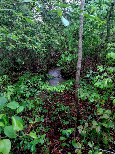 0 Rains Crk, Gruetli Laager, TN 37339