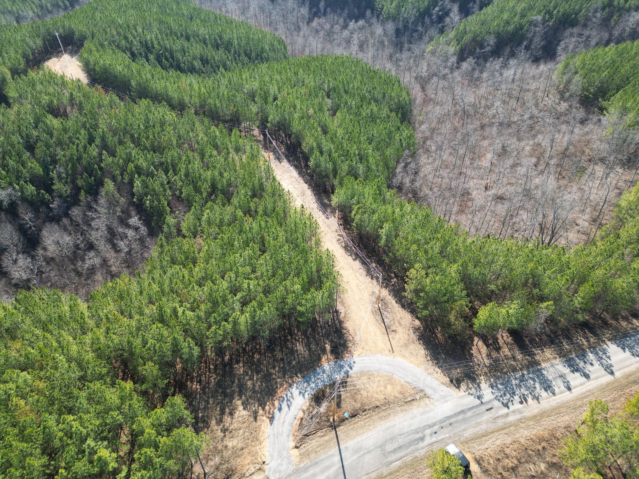 3960 Old Hohenwald Rd  