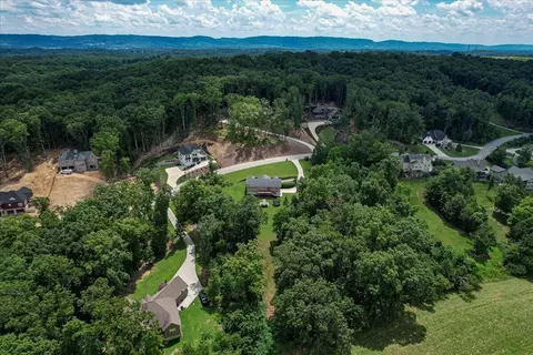 9937 Caseview Dr, Harrison, TN 37341 photo 43