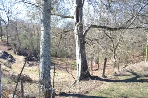 244 Main St, Prospect, TN 38477 photo 13