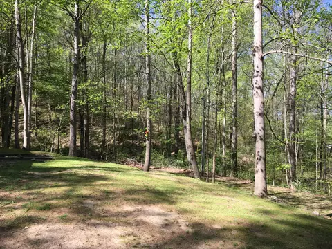 244 Cave Rd, Jasper, TN 37347 photo 5