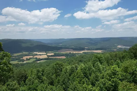 449 Stoneclift Dr, South Pittsburg, TN 37380
