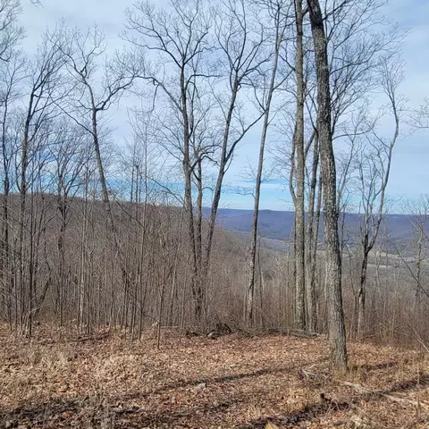 0 Stoneclift Dr, South Pittsburg, TN 37380