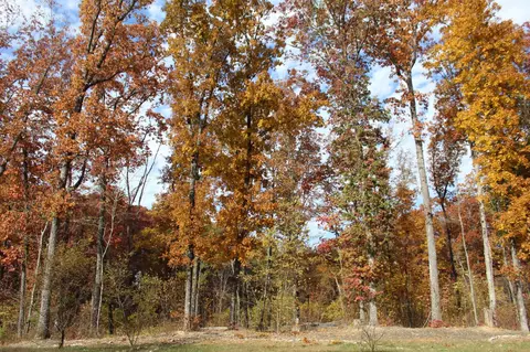 2995 River Bluffs Rb72 Dr, Jasper, TN 37347 photo 26