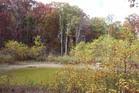 2995 River Bluffs Rb72 Dr, Jasper, TN 37347 photo 22