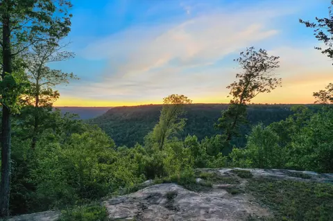 875 Cumberland Cir, Jasper, TN 37347