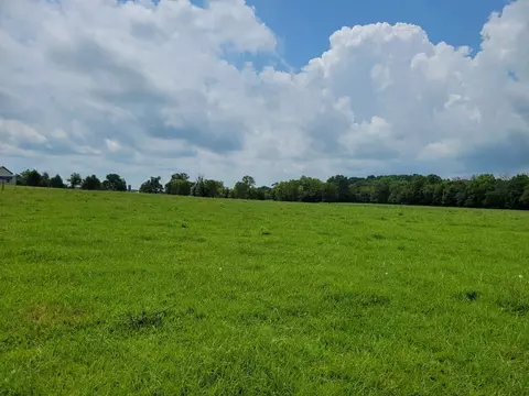 4 Beasley Rd, Chapel Hill, TN 37034