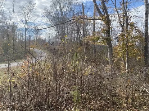 0 Boss Reeves Rd N, Parsons, TN 38363