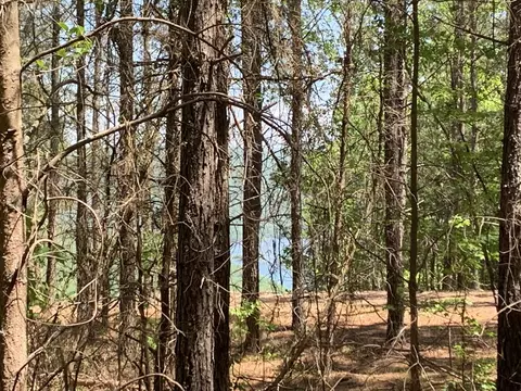 215 Back Basin Tr, Guild, TN 37340