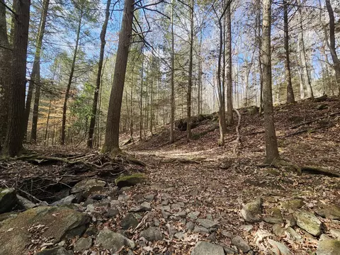 76 Braden Ln, Coalmont, TN 37313