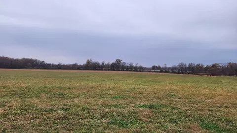 3 Hollow Springs Rd, Bradyville, TN 37026