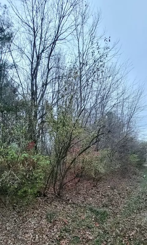 91 Fairview Rd, Crossville, TN 38571