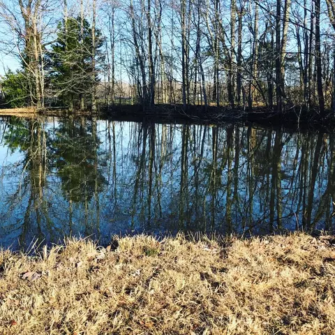 3775 Thomasville Rd, Chapmansboro, TN 37035 photo 17