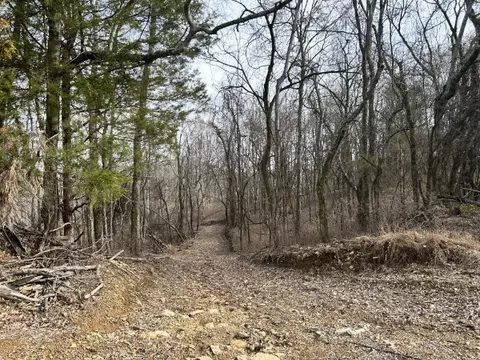 0 Greenfield Rd, Prospect, TN 38477