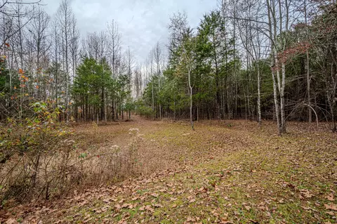 3231 Oak Grove Rd, Goodspring, TN 38460 photo 35
