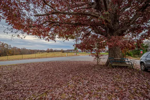 3231 Oak Grove Rd, Goodspring, TN 38460 photo 51