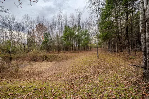 3231 Oak Grove Rd, Goodspring, TN 38460 photo 32