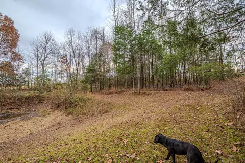 3231 Oak Grove Rd, Goodspring, TN 38460 photo 36