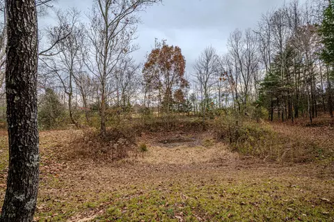 3231 Oak Grove Rd, Goodspring, TN 38460 photo 37