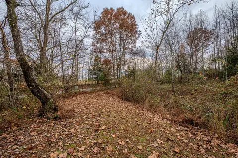3231 Oak Grove Rd, Goodspring, TN 38460 photo 34