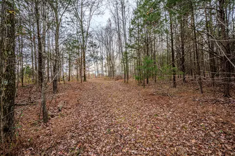 3231 Oak Grove Rd, Goodspring, TN 38460 photo 38