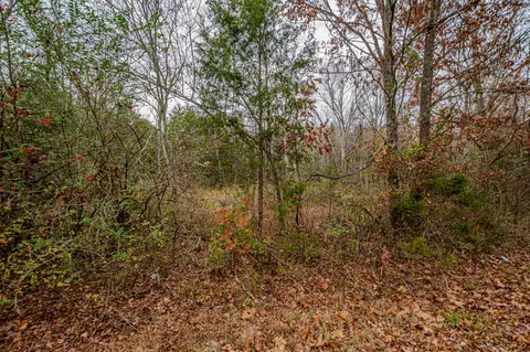 3231 Oak Grove Rd, Goodspring, TN 38460 photo 45