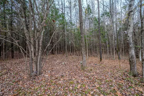 3231 Oak Grove Rd, Goodspring, TN 38460 photo 33