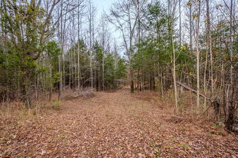 3231 Oak Grove Rd, Goodspring, TN 38460 photo 41