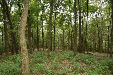 0 Lower Lick Creek Rd, Linden, TN 37096