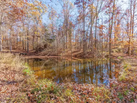 436 Liberty Claybrook Rd, Beech Bluff, TN 38313 photo 43