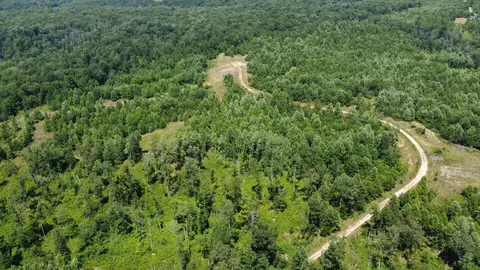 0 Hurricane Creek Rd, Tennessee Ridge, TN 37178