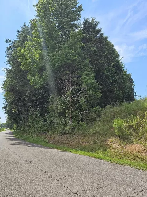 900 Lakeview Dr, South Pittsburg, TN 37380
