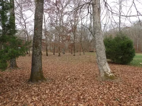 108 Riverview Dr, Hohenwald, TN 38462