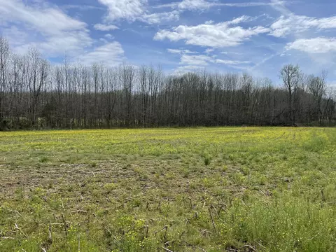 1234 Scattersville Rd, Portland, TN 37148