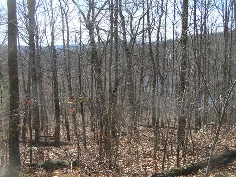 690 Mirror Lake Rd, Dunlap, TN 37327 photo 63